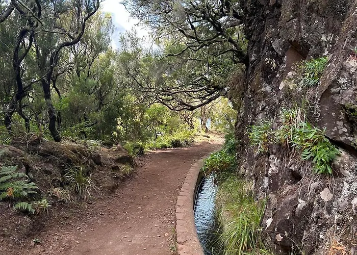 Estrela House I Madeira