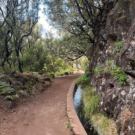 Estrela House I Madeira